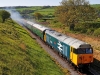 50026