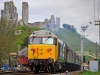 50026