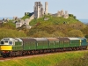 D5401 T&T 33111