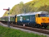 50026