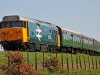50026