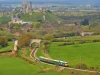 50026