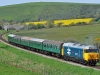 50026