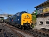 55019