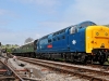 55019