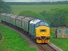 37275