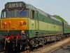 D444