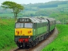 D444