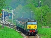 D444