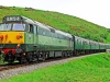 D444