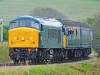 45133