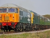 56101+33111