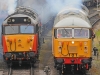 50135+56101