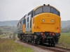 37264