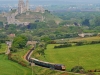 D1062