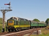 D9009