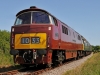 D1062