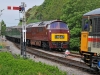 D1062+73205
