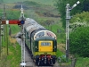 D9009