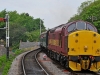 37503