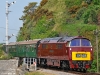 D1062