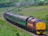 37503