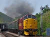 37503