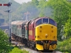 37503