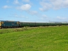 33202
