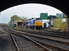 50026