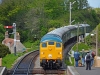 D5081