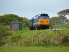 50026