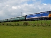 50026