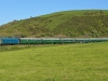 D5081