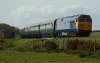 50035
