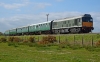 D5185