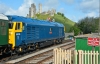 50035