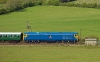 50035