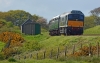 D5185