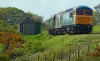 56006+73107