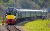 D213