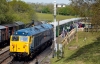 50035