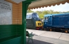 D832+20205