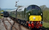 D213
