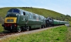 D832+80104