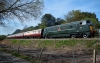 D832