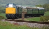 45041