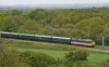 50031