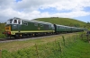 D7017
