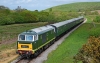 D7017